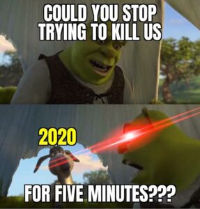 Screencaps from Shrek show Shrek angrily asking “Could you stop trying to kill us for five minutes???” while a laser-eyed Donkey labeled “2020” attacks.