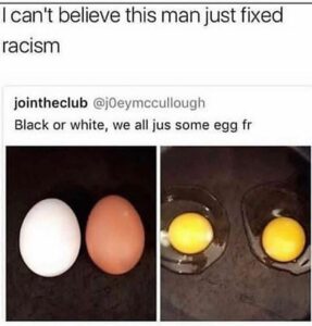 Image shows a brown and a white egg side by side next to their cracked yolks, with overlaid text saying, "Black or white, we all jus some egg fr."