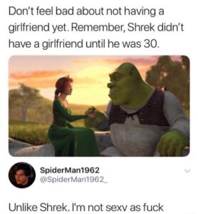 Image of Shrek and Fiona holding hands with overlaid text reassuring viewers about love timing; below, a tweet says, "Unlike Shrek. I'm not sexy as fuck."
