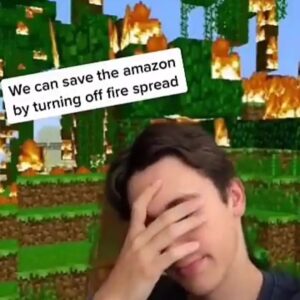 A young man facepalms in front of a Minecraft jungle engulfed in flames, with overlaid text reading, "We can save the amazon by turning off fire spread."