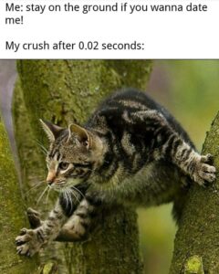 A tabby cat mid-air jumping between trees with overlaid text joking about how fast a crush avoids commitment.