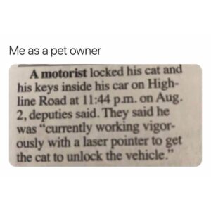 Screenshot of a newspaper clipping about a man locked out of his car using a laser pointer to try to get his cat to unlock it; caption reads "Me as a pet owner."
