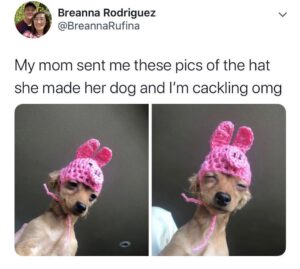 Two side-by-side photos of a small dog wearing a pink crocheted bunny-ear hat, looking sleepy and unimpressed. Overlay text reads, "My mom sent me these pics of the hat she made her dog and I’m cackling omg."
