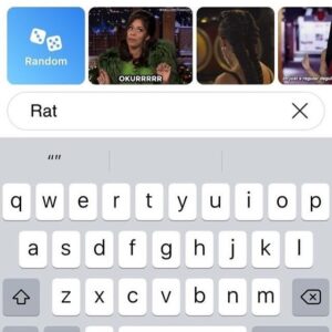 iPhone GIF search results showing sassy and unrelated GIFs after typing the word “Rat” on the keyboard.